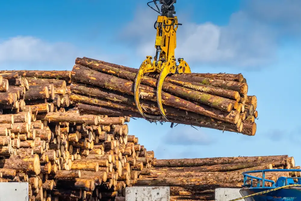 Timber import